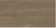Nexion  Full Body Amani Bronze  1200x2400mm